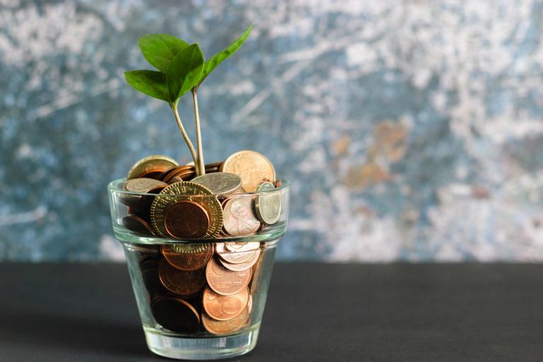 plant growing out of a pile of coins